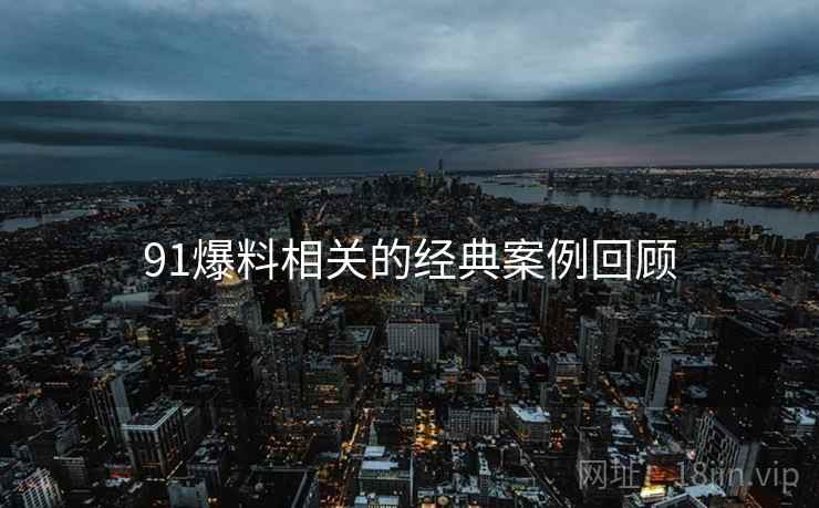 91爆料相关的经典案例回顾 第2张 91爆料相关的经典案例回顾 第2张