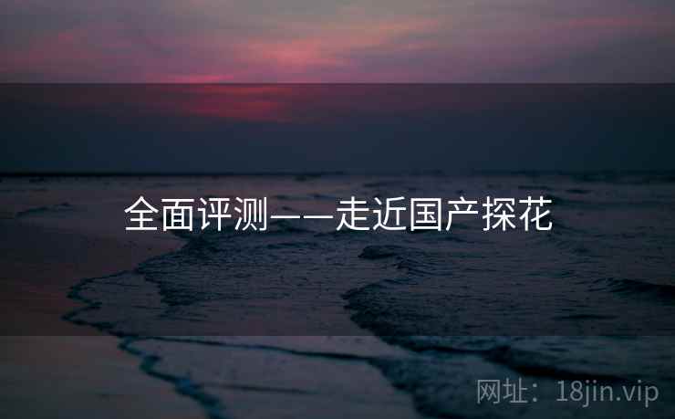 全面评测——走近国产探花 第2张 全面评测——走近国产探花 第2张