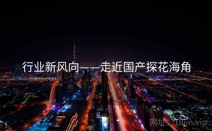 行业新风向——走近国产探花海角 第1张 行业新风向——走近国产探花海角 第1张