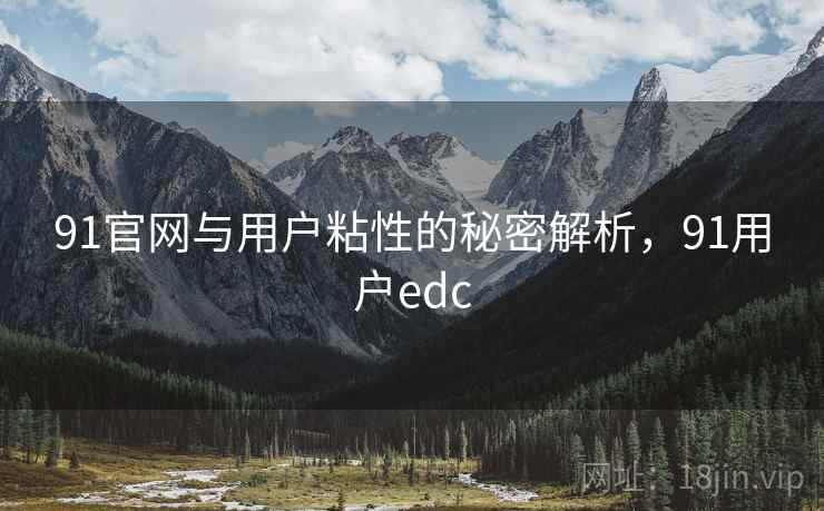 91官网与用户粘性的秘密解析，91用户edc  第2张