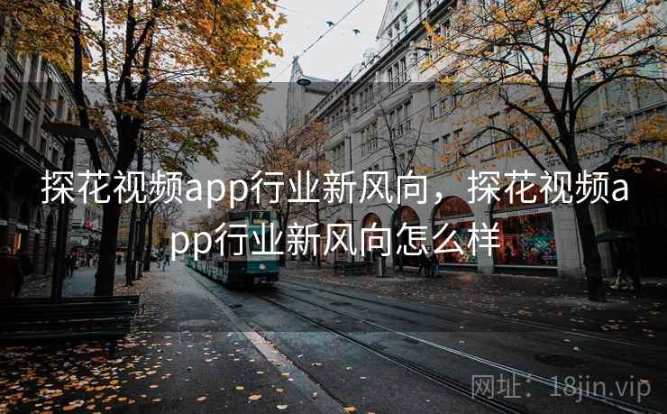 探花视频app行业新风向,探花视频app行业新风向怎么样 第1张 探花视频app行业新风向,探花视频app行业新风向怎么样 第1张