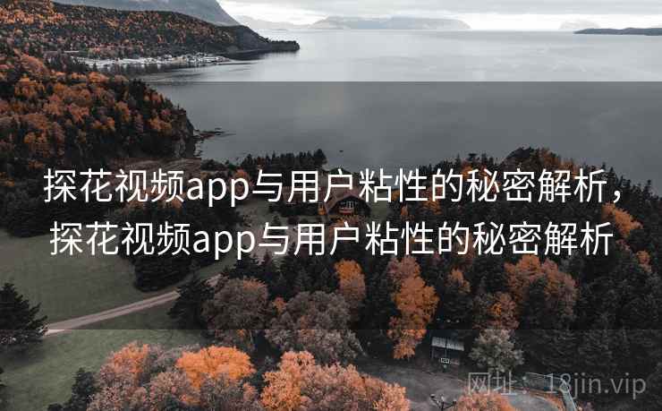 探花视频app与用户粘性的秘密解析，探花视频app与用户粘性的秘密解析  第2张
